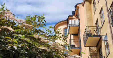 Bild på husfasad med balkonger i solsken
